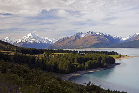 Locals-and-Landscapes