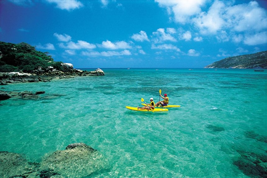 tropical-queensland-lizard-island-snorkeling tropical-queensland-lizard-island-snorkeling