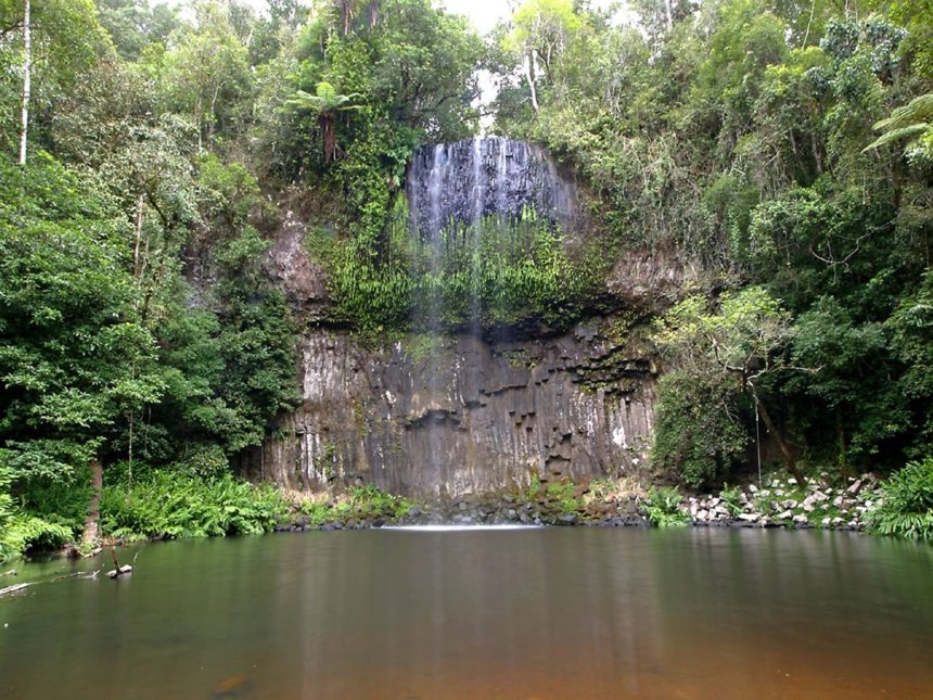 tropical-queensland-millaa-millaa-falls-daintree-rainforest tropical-queensland-millaa-millaa-falls-daintree-rainforest