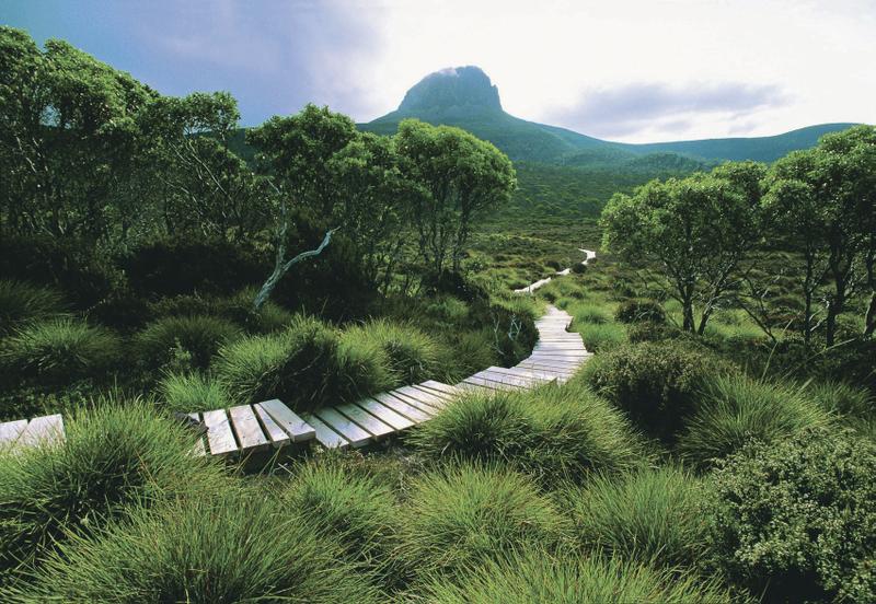Cradle Mountain boardwalk