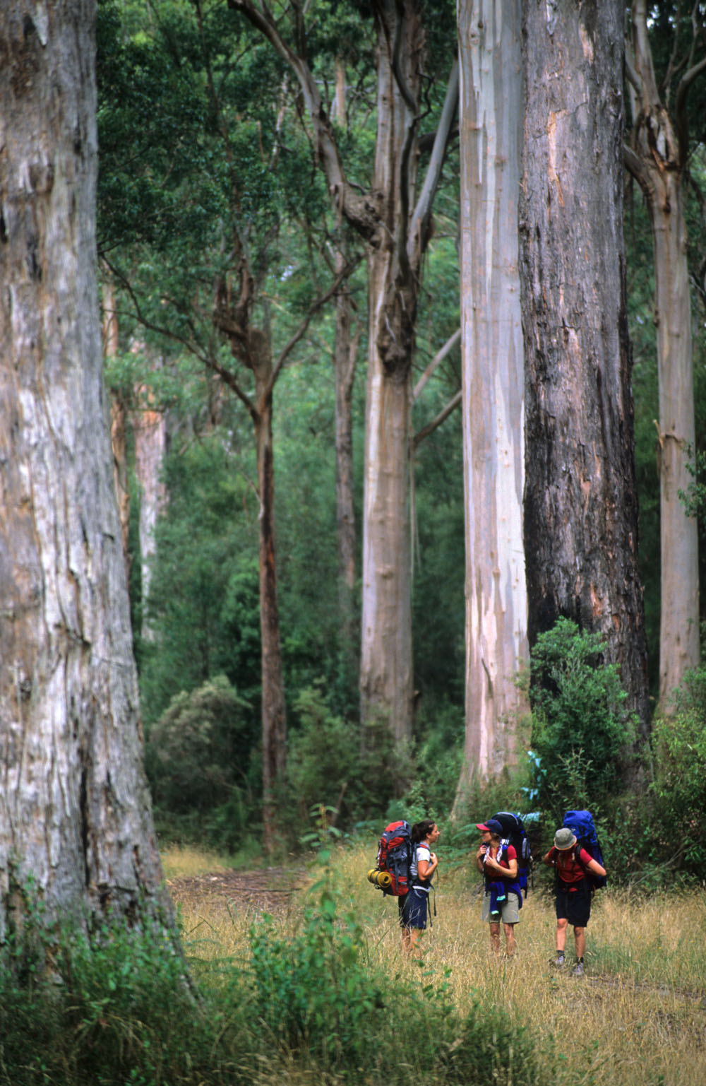 IMG-026.Elliot Ridge