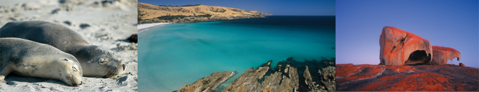 Kangaroo-Island-Collage-1