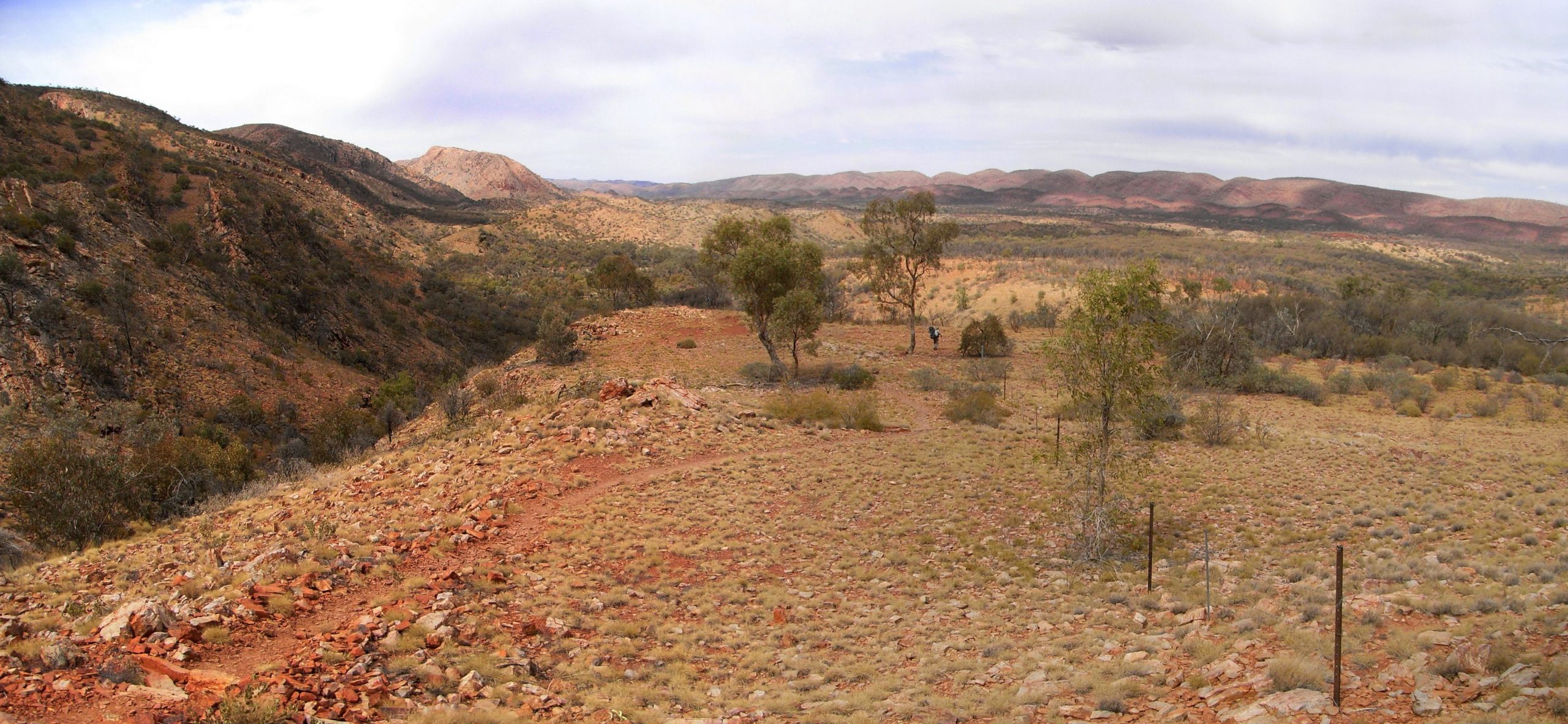 Larapinta_Panorama